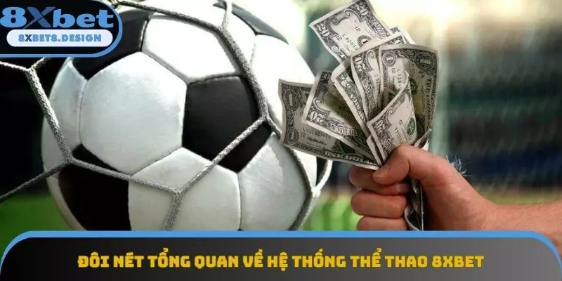Đôi nét tổng quan về hệ thống thể thao 8XBET
