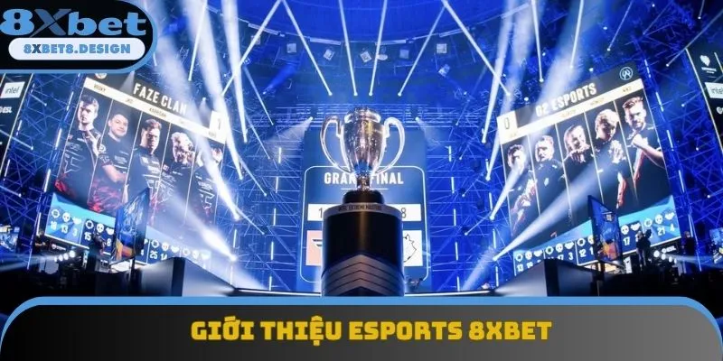 Khái quát về Esports 8XBET